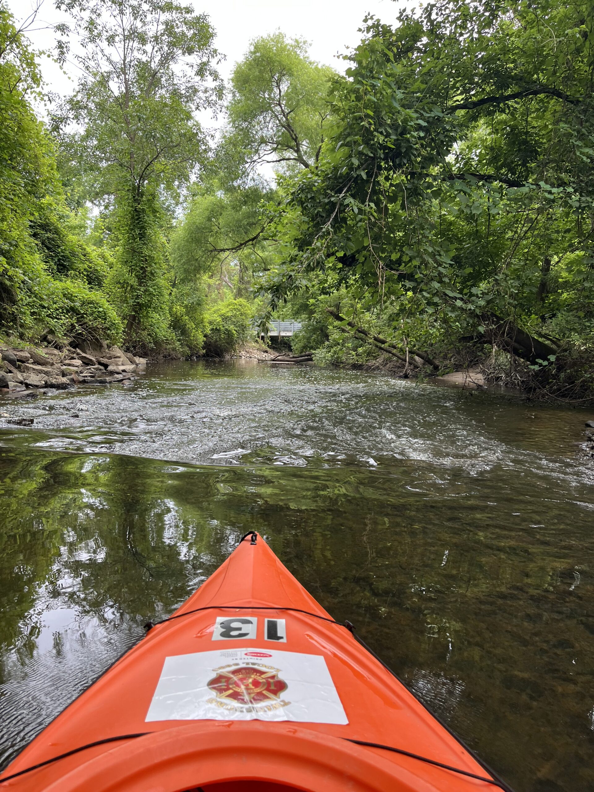Another Fun River Run